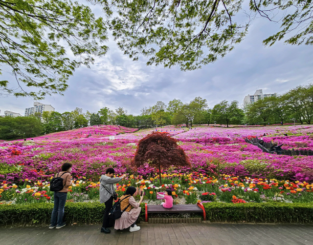 군포문화재단 제공